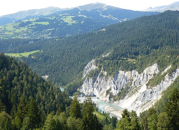 Blick in die Rheinschlucht