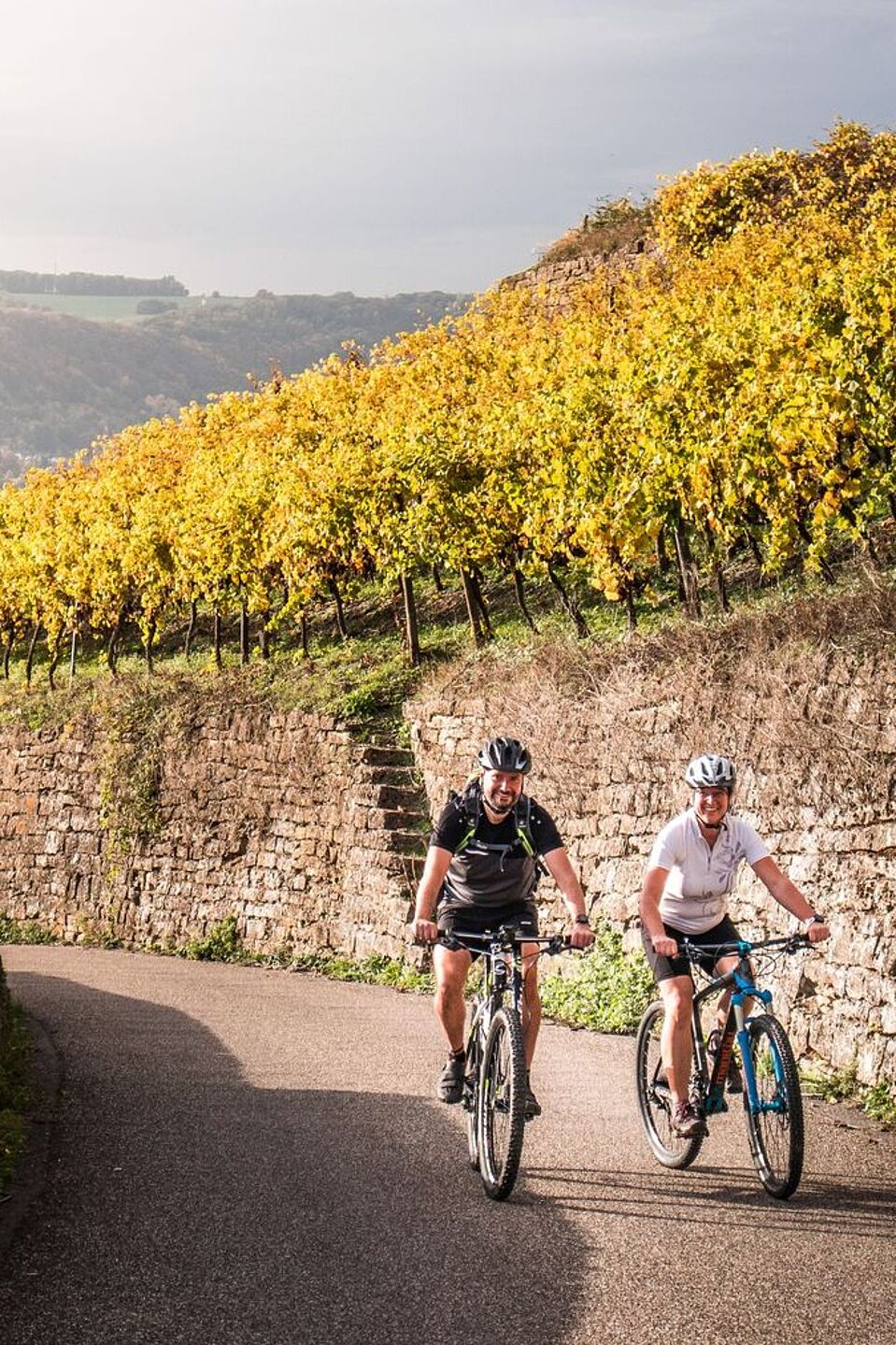 Der Neckartal-Radweg Zwei Radfahrende auf dem Neckartal-Radweg an einem Weinberg.