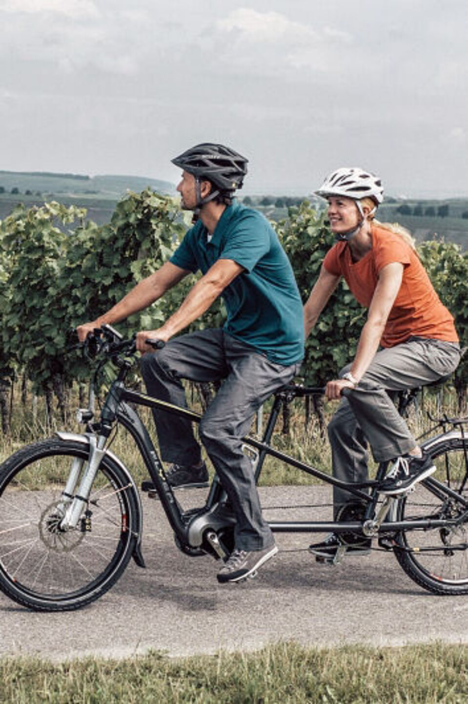 Tandemfahrrad Ein Tandemfahrrad mit zwei Personen fährt auf einem asphaltierten Weg entlang eines Weinbergs.